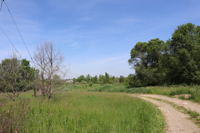 Albion Drive-In Theatre - May 29 2022 All Gone (newer photo)